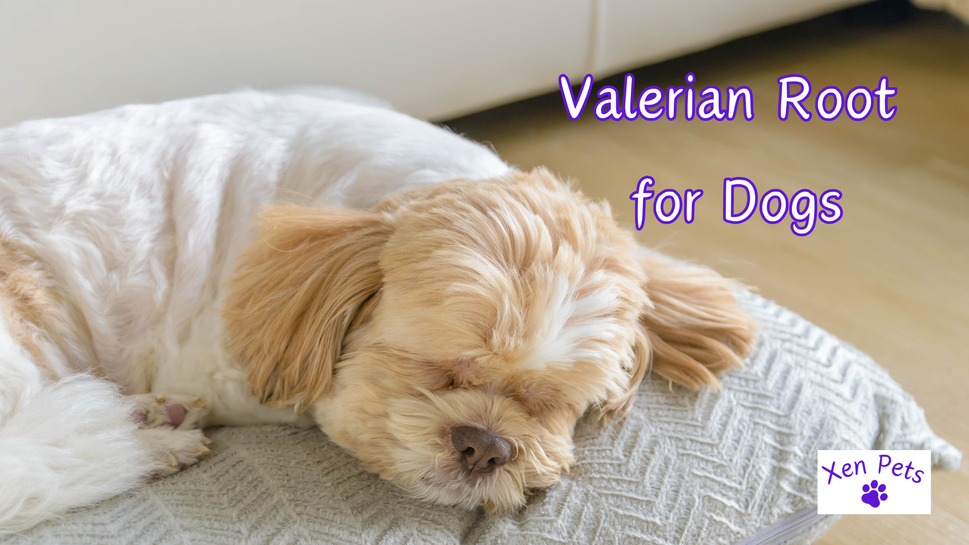 Valerian shop for dogs