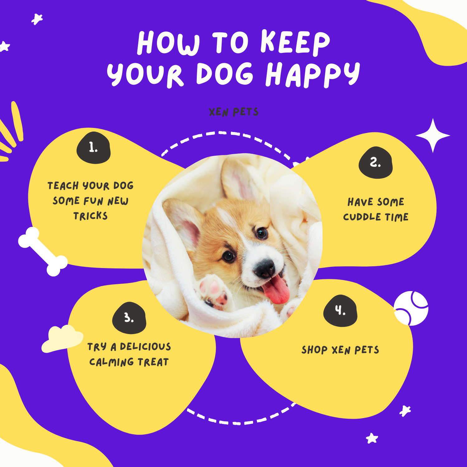 How to keep your dog happy