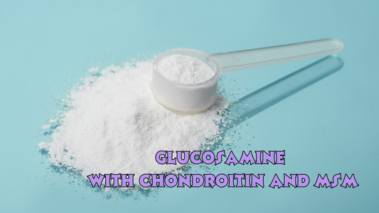 Glucosamine with Chondroitin and MSM