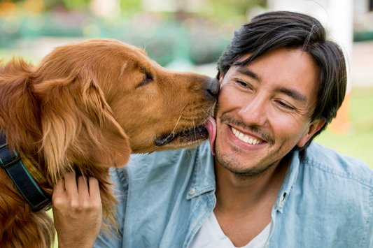 dog licking person's ear