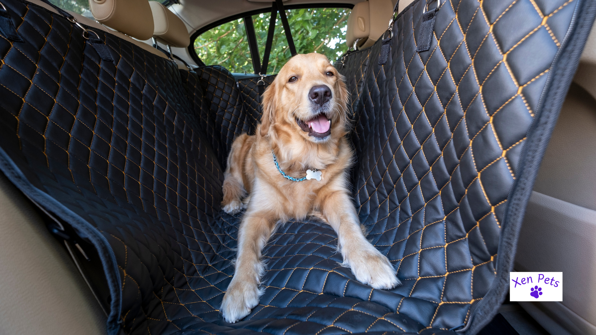Dog on a padded mat in a car.