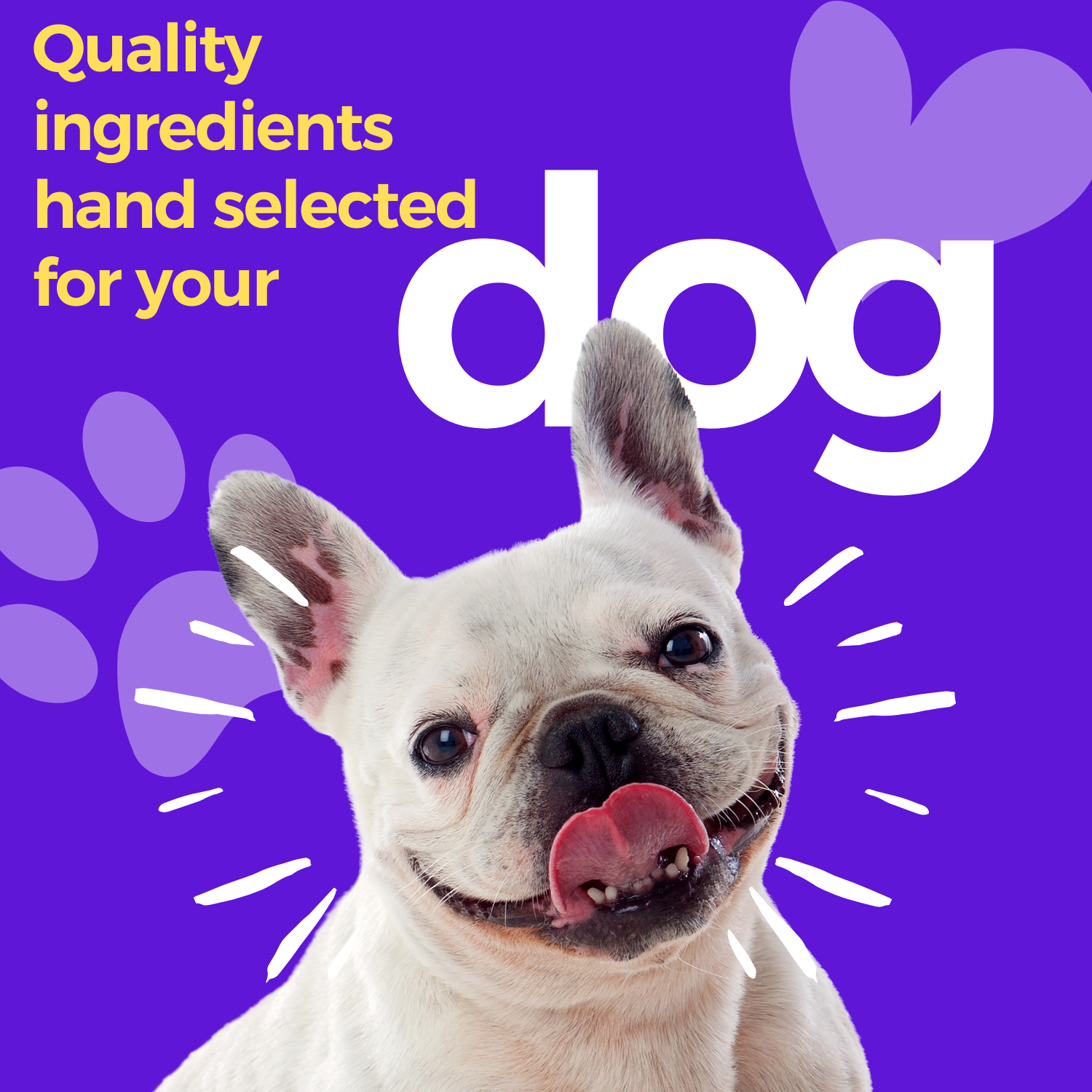 Quality ingredients for your dog