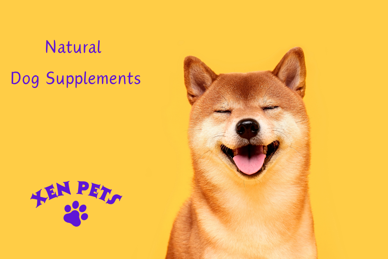 Xen Pets logo next to a smiling dog.